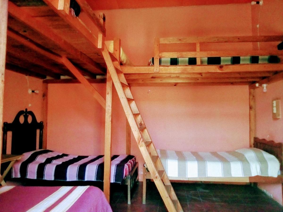 Hostal El Rincon De Los Camellos San Cristobal de las Casas Exterior photo