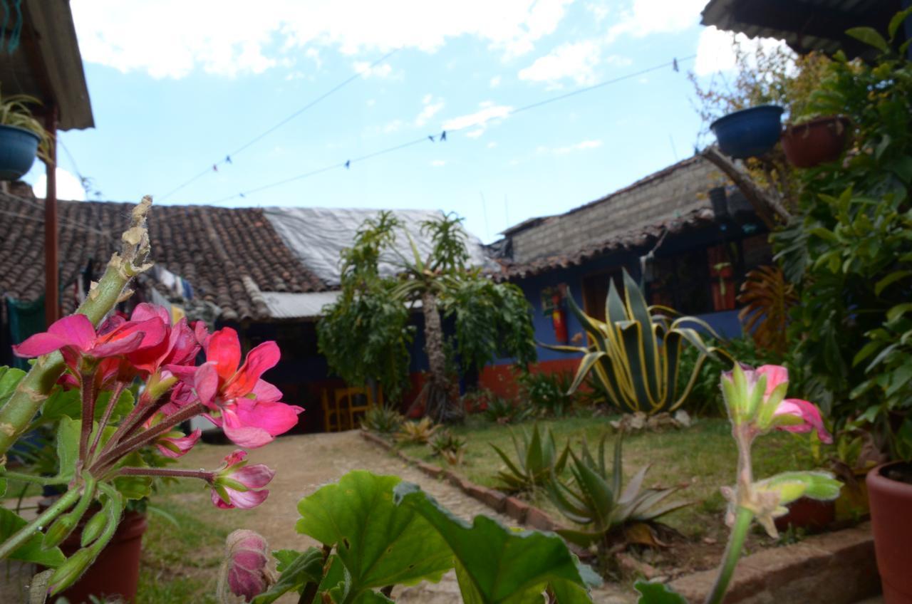 Hostal El Rincon De Los Camellos San Cristobal de las Casas Exterior photo