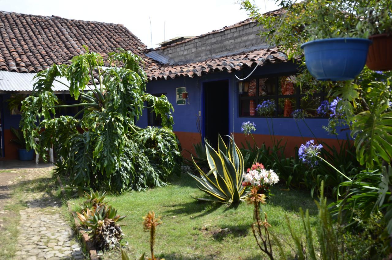 Hostal El Rincon De Los Camellos San Cristobal de las Casas Exterior photo