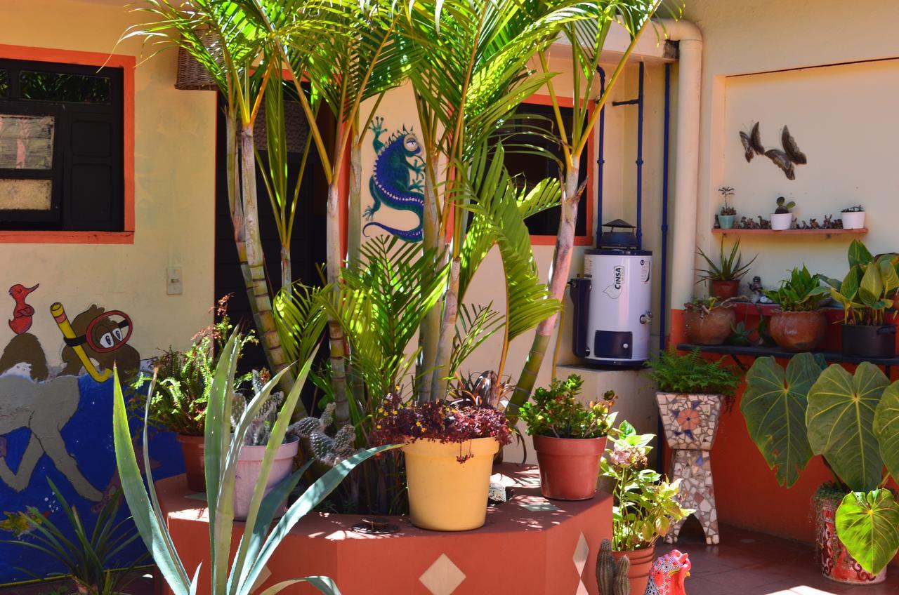 Hostal El Rincon De Los Camellos San Cristobal de las Casas Exterior photo