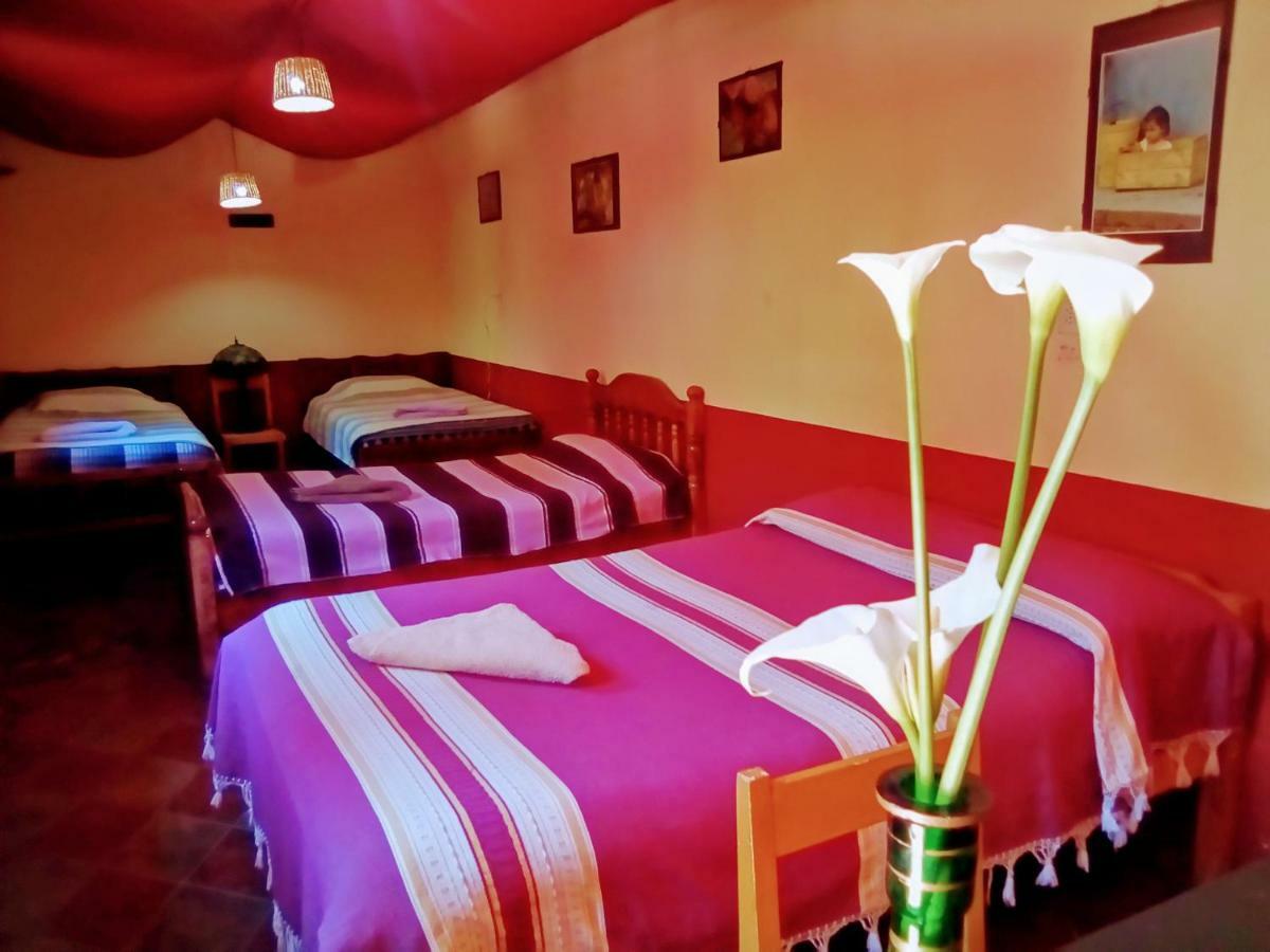 Hostal El Rincon De Los Camellos San Cristobal de las Casas Exterior photo